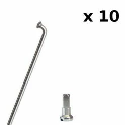 Brandless Kit De Rayons Et écrous Pour Roue 20 Pouces Vélo X10